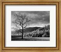 Framed Storm Clearing At Dawn In Cataloochee Valley, North Carolina (BW)