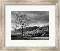 Framed Storm Clearing At Dawn In Cataloochee Valley, North Carolina (BW)