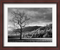 Framed Storm Clearing At Dawn In Cataloochee Valley, North Carolina (BW)