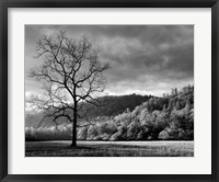 Framed Storm Clearing At Dawn In Cataloochee Valley, North Carolina (BW)