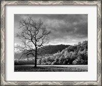 Framed Storm Clearing At Dawn In Cataloochee Valley, North Carolina (BW)