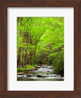 Framed Straight Fork River, North Carolina