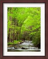 Framed Straight Fork River, North Carolina