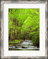 Framed Straight Fork River, North Carolina