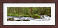 Framed Panoramic Of Straight Fork Creek In Spring, North Carolina