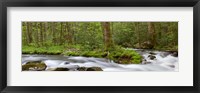 Framed Panoramic Of Straight Fork Creek In Spring, North Carolina