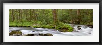 Framed Panoramic Of Straight Fork Creek In Spring, North Carolina