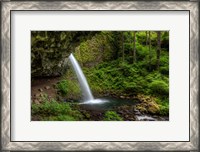 Framed Ponytail Falls, Oregon