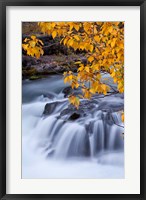 Framed Rogue River Waterfalls In Autumn, Oregon