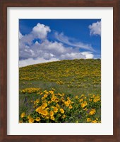 Framed Rowena Plateau Landscape, Oregon