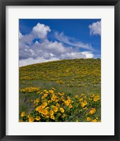 Framed Rowena Plateau Landscape, Oregon
