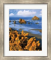 Framed Rocky Coastline Of Oregon
