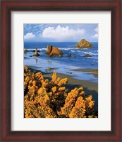 Framed Rocky Coastline Of Oregon