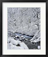 Framed Snow On Boulder Creek, Oregon