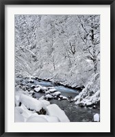 Framed Snow On Boulder Creek, Oregon