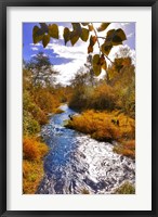 Framed Scenic View Of Dieckman Creek, Oregon