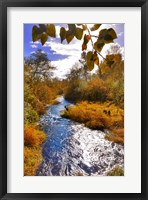 Framed Scenic View Of Dieckman Creek, Oregon