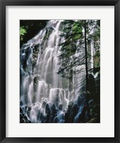 Framed Ramona Falls Landscape, Oregon