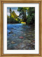 Framed Sandy River Landscape, Oregon