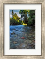 Framed Sandy River Landscape, Oregon