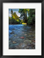 Framed Sandy River Landscape, Oregon