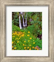 Framed Triple Falls, Oregon