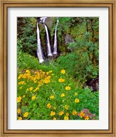 Framed Triple Falls, Oregon