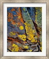 Framed Lichen Covered Basalt Rock, Oregon