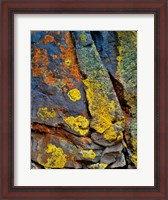 Framed Lichen Covered Basalt Rock, Oregon