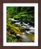 Framed Still Creek, Oregon