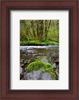 Framed Wilson River, Oregon