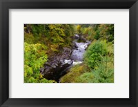 Framed Wilson River Landscape, Oregon