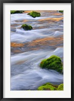 Framed Mmoss-Covered Rocks In The Mckenzie River, Oregon