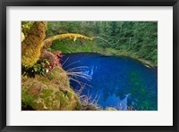 Framed Oregon Blue Or Tamolitch Pool On Mckenzie River