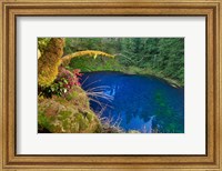 Framed Oregon Blue Or Tamolitch Pool On Mckenzie River