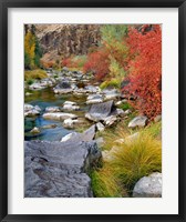 Framed Fall Colors Along The John Day River