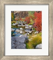 Framed Fall Colors Along The John Day River