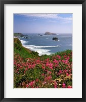 Framed Ocean Landscape Of Goat Rock And Sweet Peas, Oregon