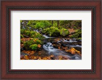 Framed Autumn Color Along Starvation Creek Falls In, Oregon