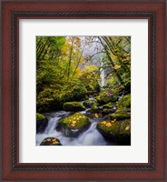 Framed Mccord Creek In Autumn, Oregon