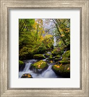 Framed Mccord Creek In Autumn, Oregon