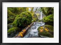 Framed Autumn At Elowah Falls, Oregon