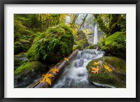 Framed Autumn At Elowah Falls, Oregon