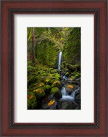 Framed Mossy Grotto Falls, Oregon