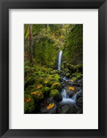 Framed Mossy Grotto Falls, Oregon