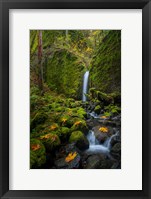 Framed Mossy Grotto Falls, Oregon