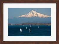 Framed Sailboats On The Columbia River, Oregon