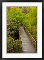 Framed Bridge At Crystal Springs Rhododendron Garden, Portland, Oregon