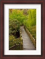 Framed Bridge At Crystal Springs Rhododendron Garden, Portland, Oregon