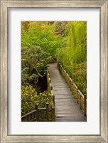 Framed Bridge At Crystal Springs Rhododendron Garden, Portland, Oregon